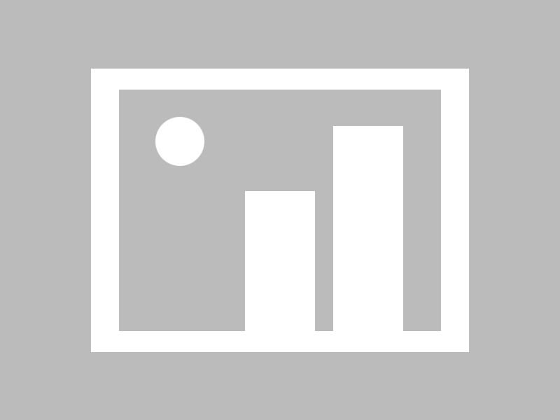 开云体育在线入口-年轻车坛新星：梦想之路的辛酸与坚持