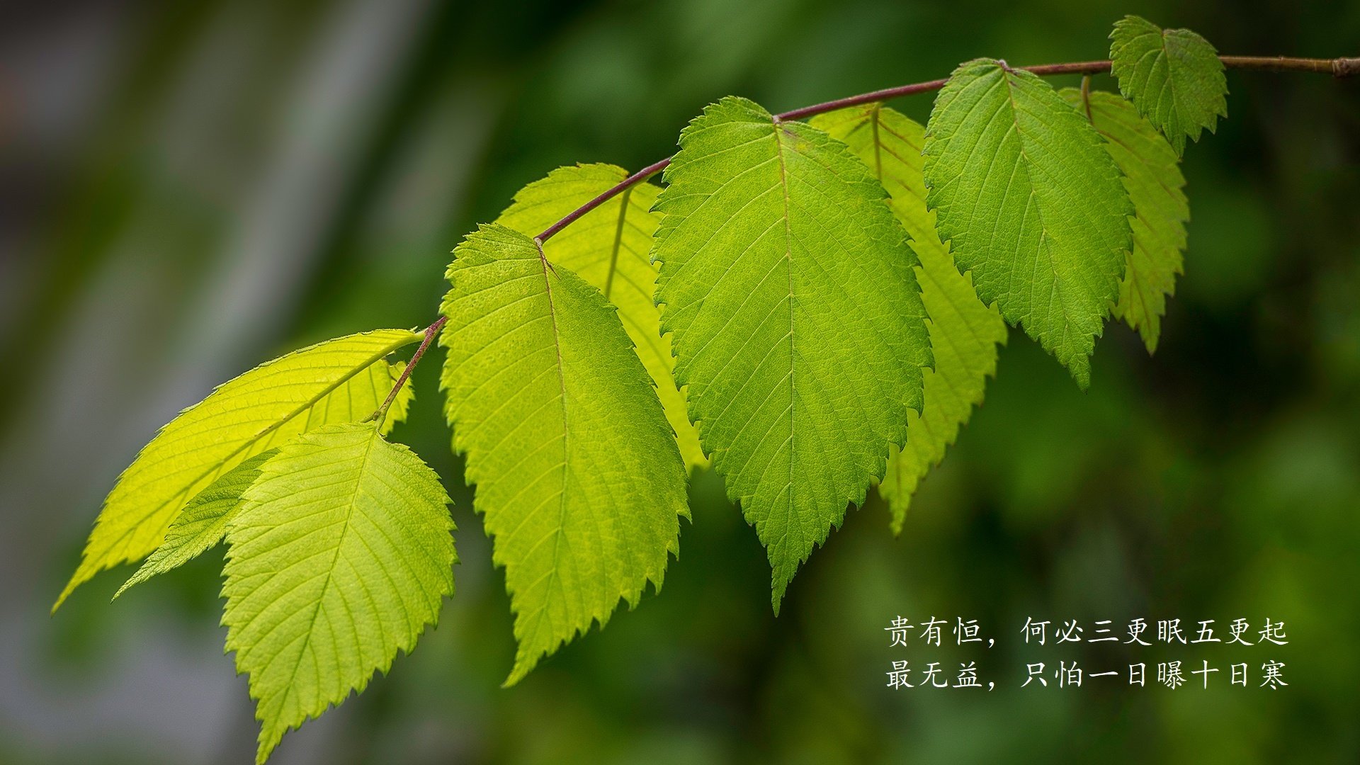 Kaiyun(中国)开云-从期待到失望：法国男足奥运征程纪实，法国足球队奥运会