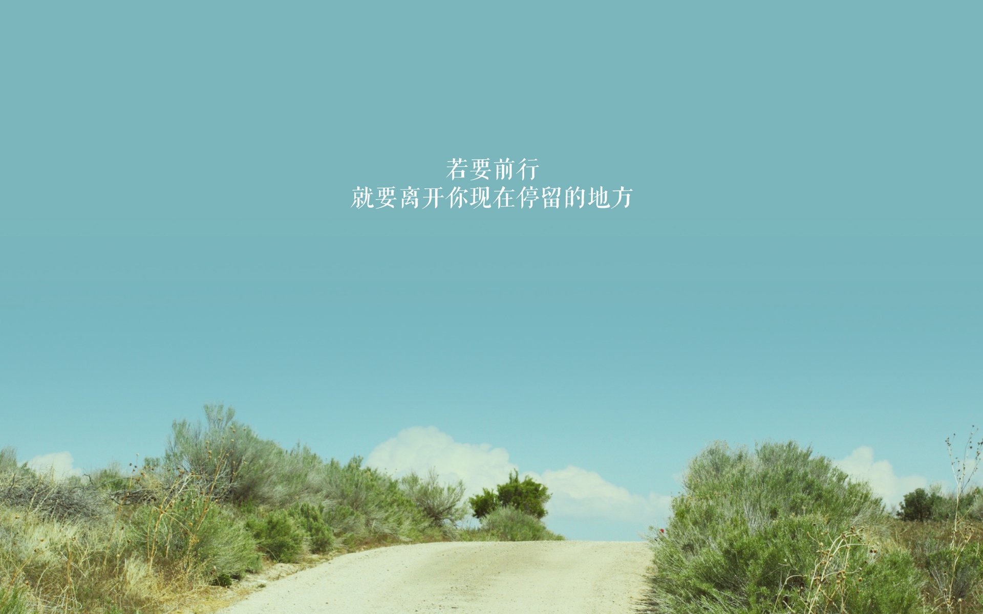 新锐裁判员在比赛中表现优异，未来可期，裁判组纳新